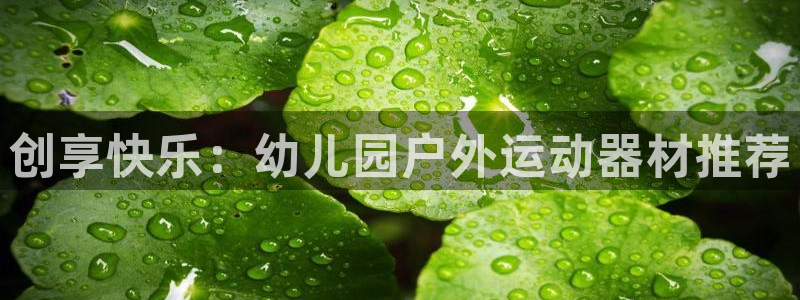 意昂体育4平台假的吗是真的吗吗：创享快乐：幼儿园户外运动器材