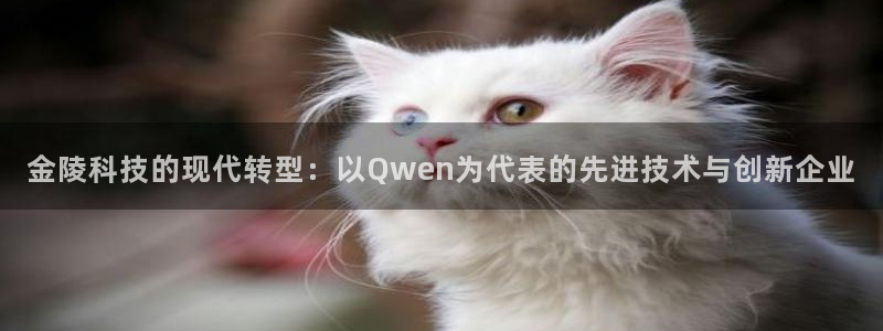 意昂4娱乐是那个系列的台子：金陵科技的现代转型：以Qwen为