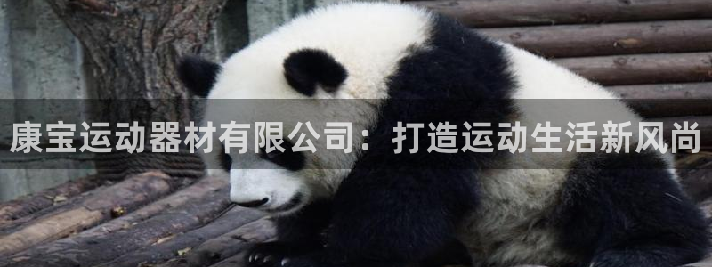 意昂4集团简介：康宝运动器材有限公司：打造运动生活新