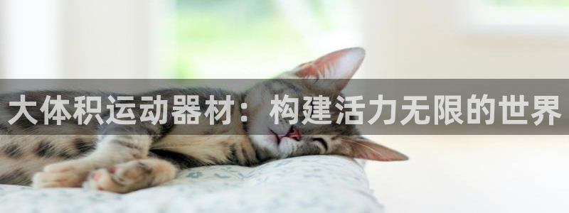 意昂体育4招商电话是多少：大体积运动器材：构建活力无