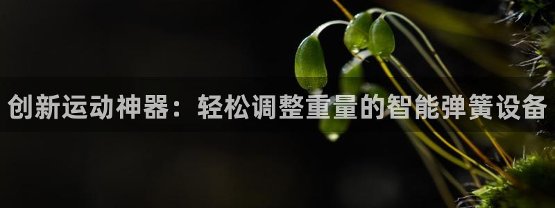 意昂4集团官网首页：创新运动神器：轻松调整重量的智能