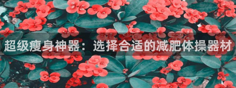 意昂体育4注册：超级瘦身神器：选择合适的减肥体操器材