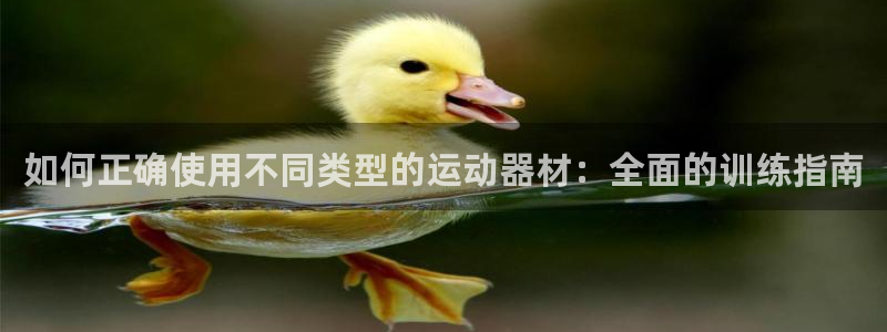 意昂体育4平台注册要钱吗是真的吗：如何正确使用不同类型的运动