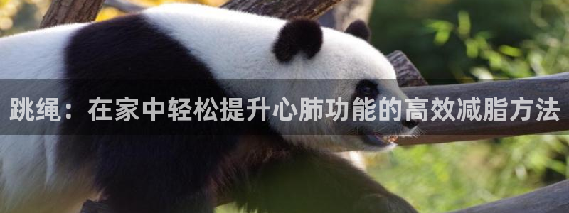 意昂4娱乐首页网站大全：跳绳：在家中轻松提升心肺功能