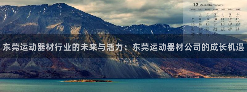意昂4娱乐40996：东莞运动器材行业的未来与活力：东莞运动