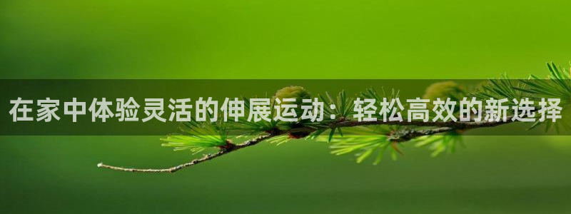 意昂体育4招商电话地址：在家中体验灵活的伸展运动：轻松高效的