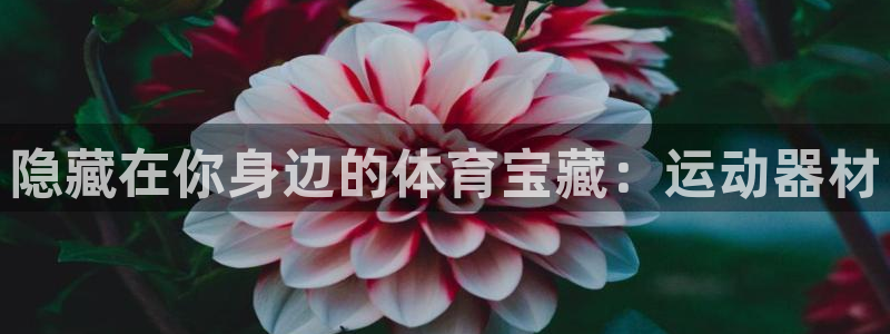 意昂体育4软件：隐藏在你身边的体育宝藏：运动器材