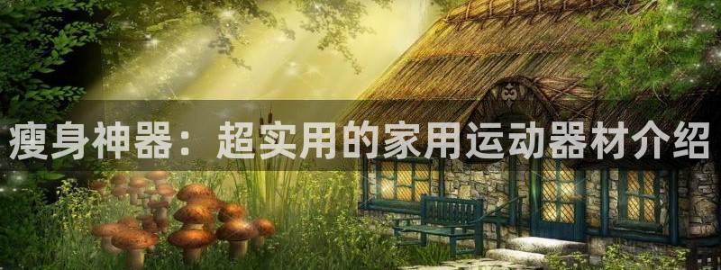意昂4集团简介：瘦身神器：超实用的家用运动器材介绍