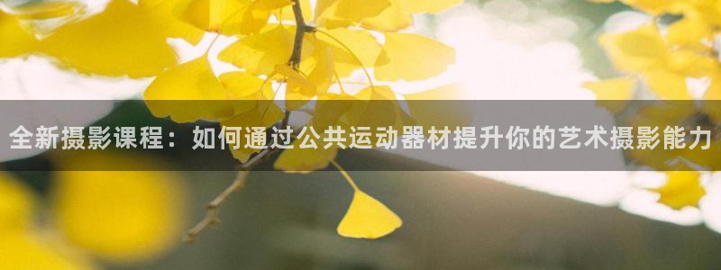 意昂4娱乐平台：全新摄影课程：如何通过公共运动器材提