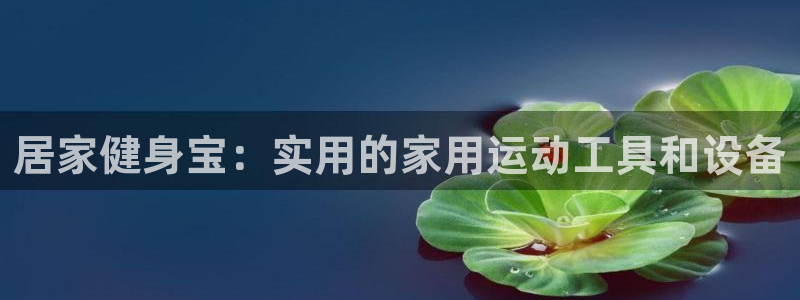 意昂4娱乐首页网站大全：居家健身宝：实用的家用运动工具和设备