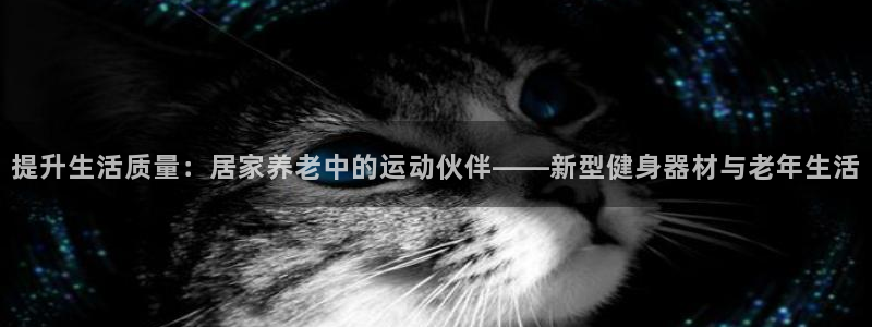 意昂4代理：提升生活质量：居家养老中的运动伙伴——新型健身器