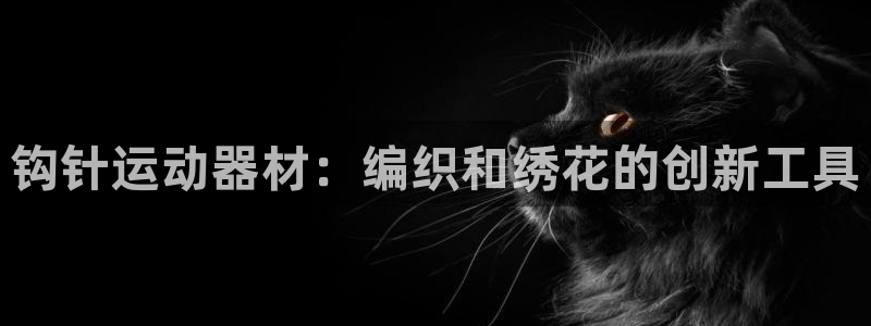 意昂4新能源：钩针运动器材：编织和绣花的创新工具