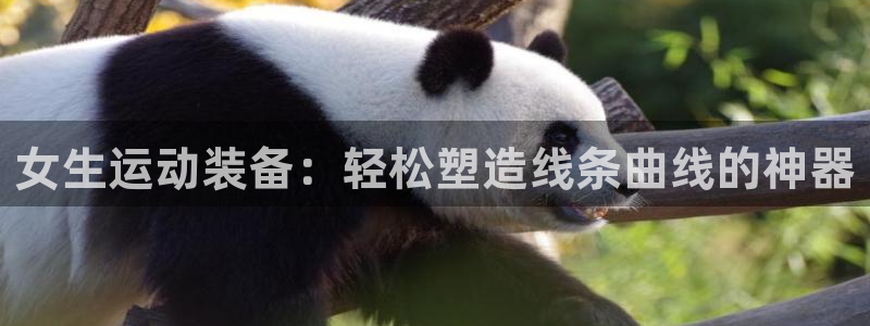 意昂4五金厂：女生运动装备：轻松塑造线条曲线的神器